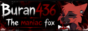 Buran436